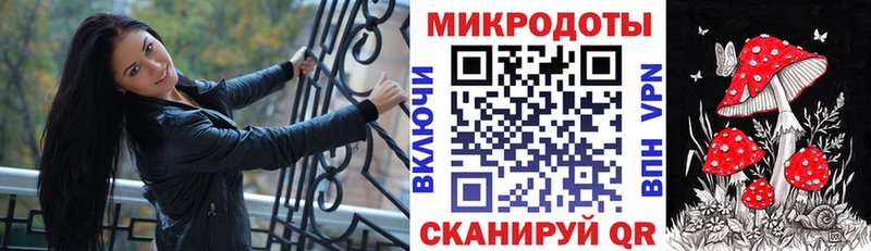 Галлюциногенные грибы Psilocybe Североуральск